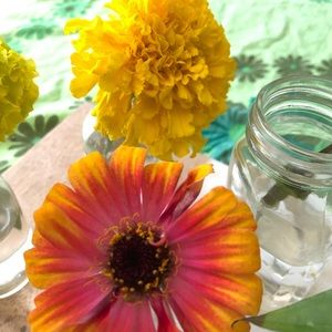 Meet your Posher, Cindy